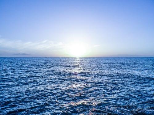 2020年浙江成考专业如何选择?(图1) 2020年浙江成考专业如何选择?(图1)